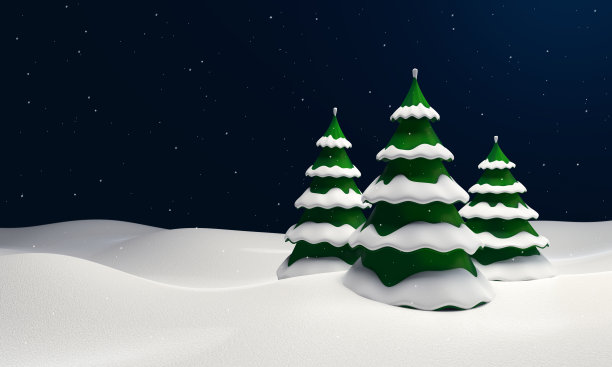 冬天的风景有雪冷杉树图片下载