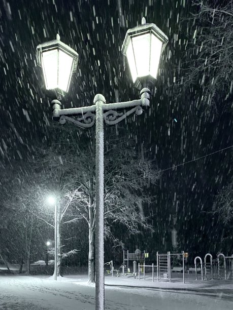 雪天晚上的街灯图片下载