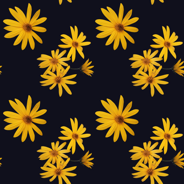 无缝图案与黄色的菊芋花在一个黑暗的背景图片下载