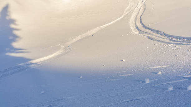 雪地上的滑雪道。图片下载