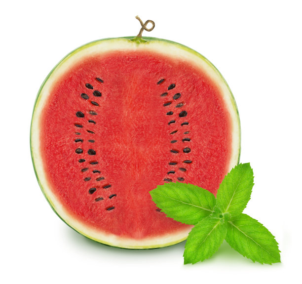用切好的西瓜和薄荷枝在白色的背景上分开，并经过修剪。图片下载