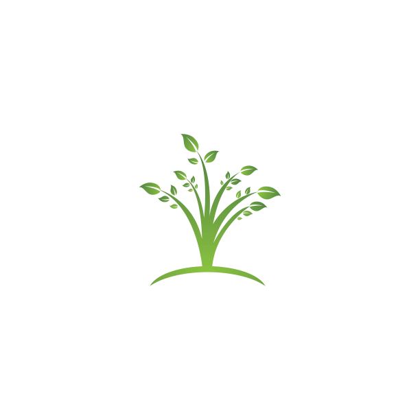 树叶矢量标志设计图片下载