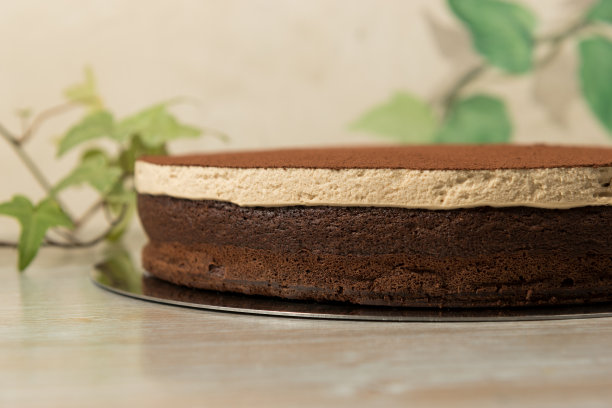 自制的卡布奇诺蛋糕有三层和巧克力装饰图片下载