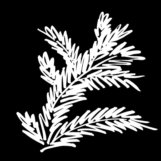 圣诞树标记线节日新年圣诞云杉绿色白色图片下载