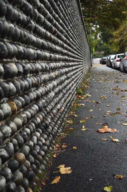 秋天的道路图片下载