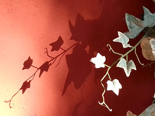 圣诞节的阴影图片下载