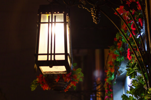 入口处门廊上的老式街灯。伪造的装饰性植物图片下载