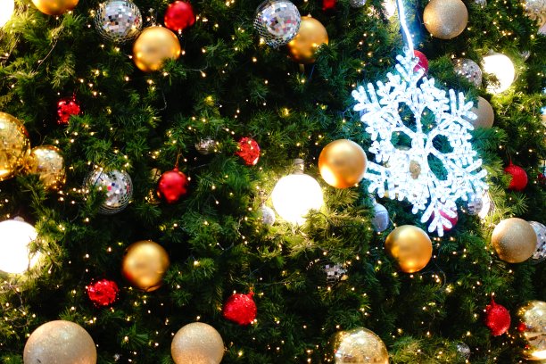 冷杉树装饰着圣诞节图片下载