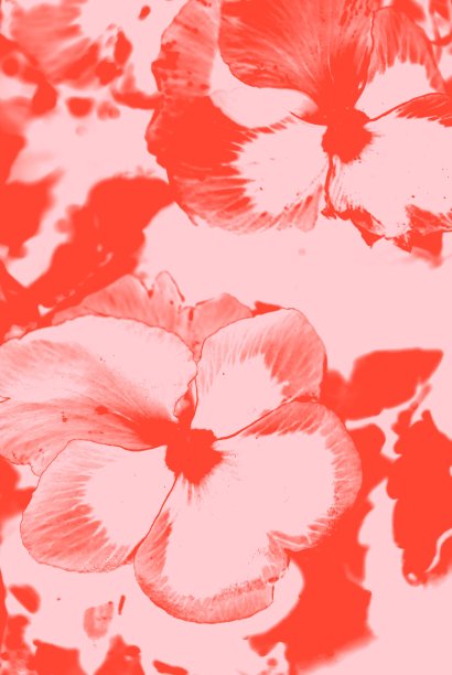 明亮有力的单色花背景图片下载