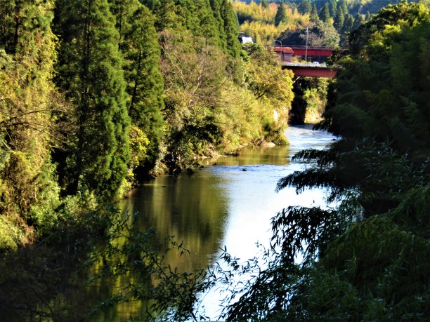 秋天在日本。博索半岛，千叶。这里有许多美丽的河流穿过这片原始森林。图片下载