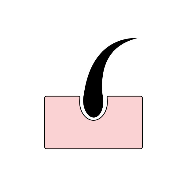 皮肤上长出的毛囊。图标,标志,象征。平面孤立矢量插图。图片下载