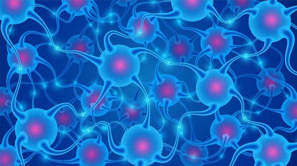 人工神经网络。图片下载