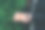 赠送用牛皮纸和红丝带包裹的圣诞或生日礼物的女人。金钟柏背景图片下载