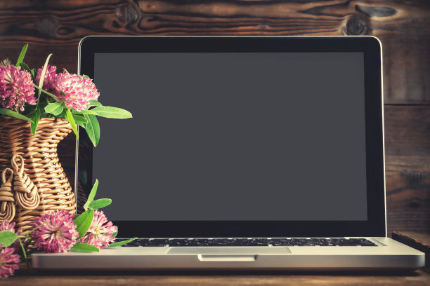 打开笔记本电脑与空白屏幕和野花花瓶-模板设计与地方的文本，动作捕捉与路径的切割图片下载