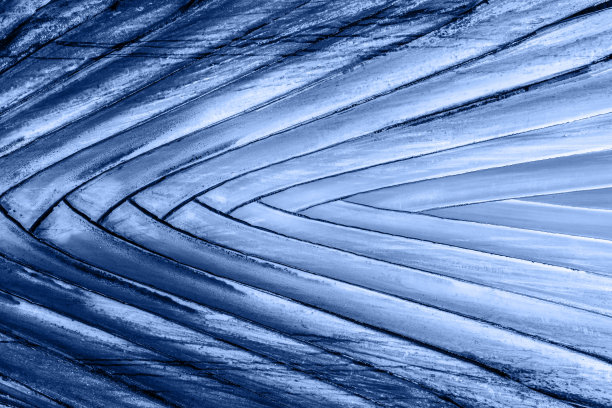 抽象的棕榈树叶纹理，时尚的蓝色调。几何形状和线条。热带植物的背景。图片下载