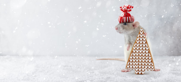 新年老鼠与姜饼树饼干图片下载