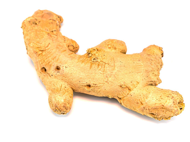 生姜根在白色的背景和文字的地方。图片下载