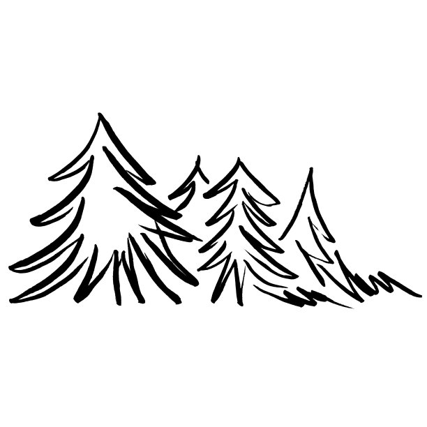 圣诞树标记线节日新年圣诞节云杉绿色黑色图片下载