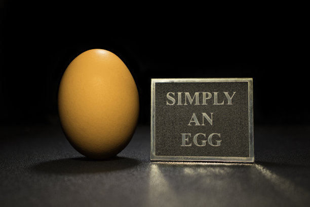 一个黑色背景上的鸡蛋，上面写着一个简单的鸡蛋图片下载