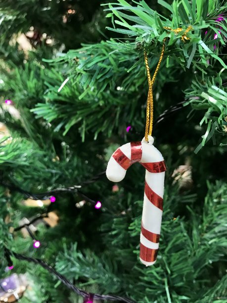 圣诞彩灯挂在松树上图片下载