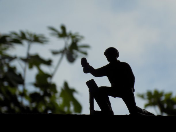 士兵轮廓三世图片下载