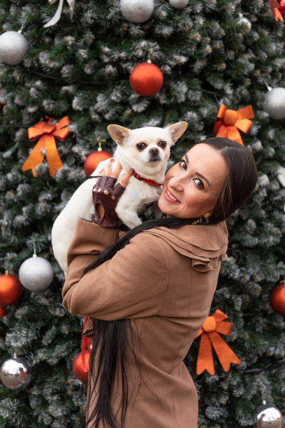 一个女孩抱着她的吉娃娃狗，背景是一棵圣诞树。照片与宠物图片下载