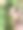 各种植物的美丽多彩的叶子。亮绿色的叶子长得非常紧密。图片下载