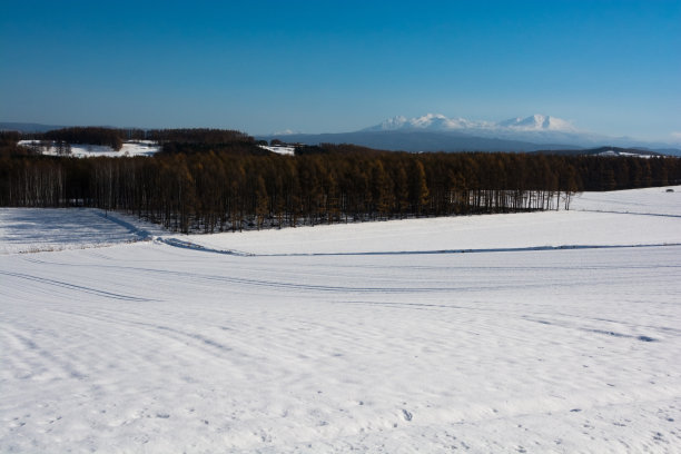 冬天的田野，山脉和蓝天图片下载