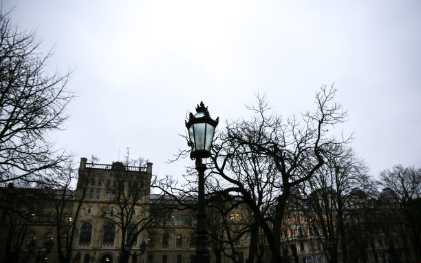 光秃秃的树枝和古老的灯笼。里加神秘的城市图片。图片下载