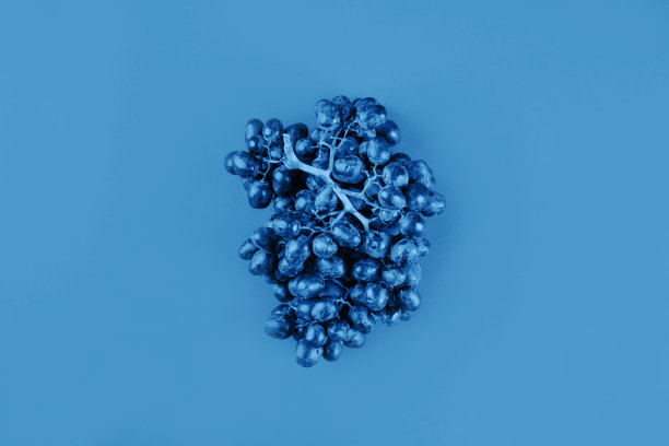 2020年的经典蓝色。葡萄平躺图片下载