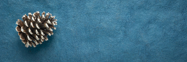 蓝色背景上结霜的装饰松果图片下载