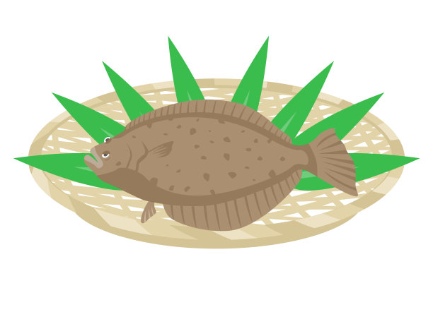 比目鱼图片下载