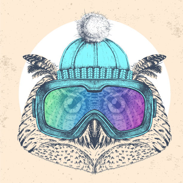 戴着冬季帽和滑雪板护目镜的时髦猫头鹰。手绘猫头鹰口鼻图片下载