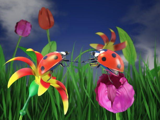 花上有两只瓢虫。图片下载