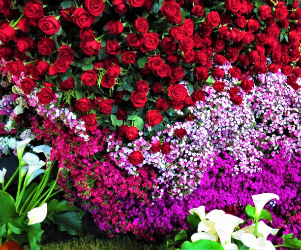 美丽的不同的花束。图片下载