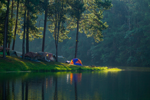 森林露营的观点，山与湖和松树在早上。图片下载