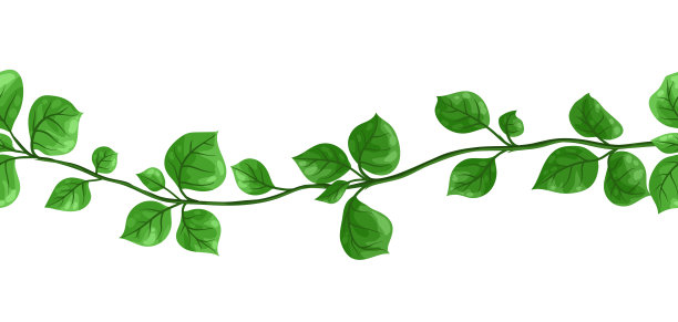 藤本植物无缝模式。绿色叶子的丛林藤蔓植物。图片下载