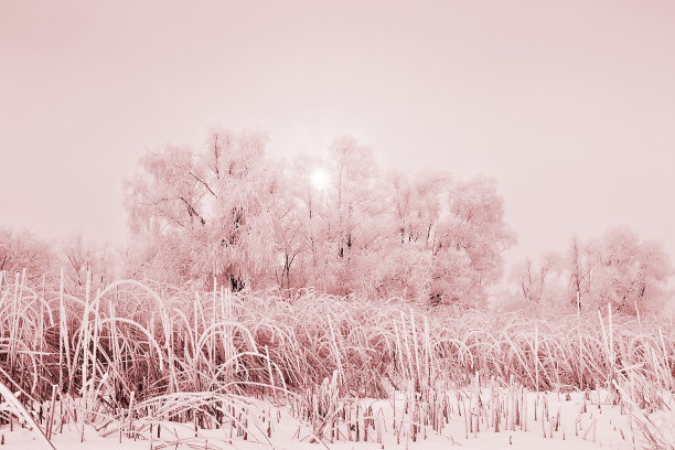 云雾缭绕的山水中有霜冻，冬日拂晓。有色粉红色。圣诞节的背景图片下载