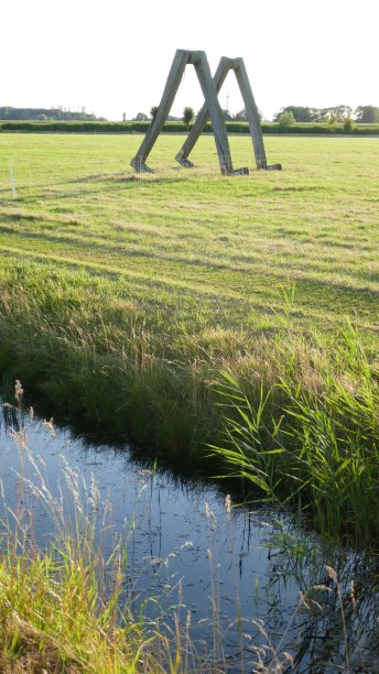 草地上的木梁是走路用的腿。图片下载