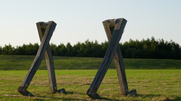 草地上的木梁是走路用的腿。图片下载