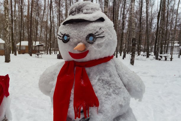 雪公园里戴着红围巾的雪人图片下载