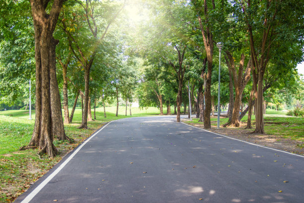 曼谷自然公园的休闲道路和树木图片下载