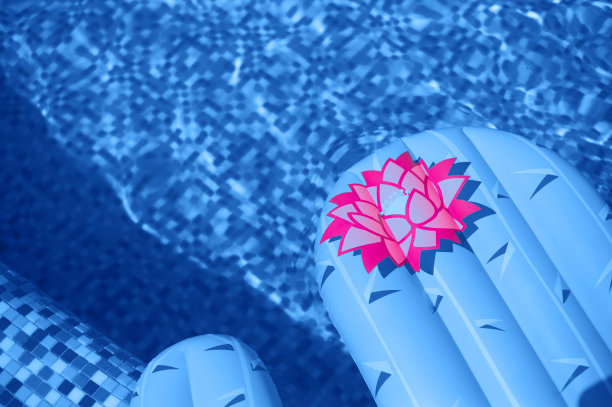 五颜六色的充气仙人掌漂浮在清爽的蓝色游泳池里图片下载