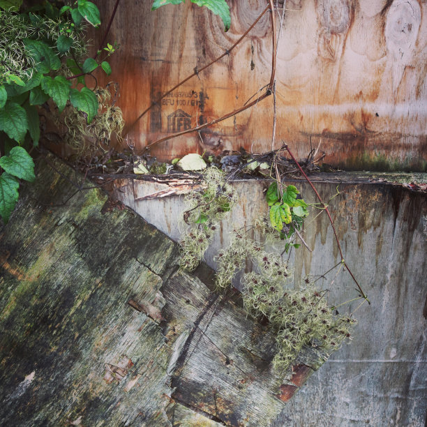岁的木制背景图片下载