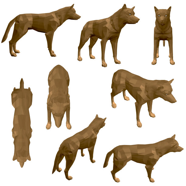 设置与多边形郊狼。棕色土狼有不同的观点。3 d。矢量图图片下载