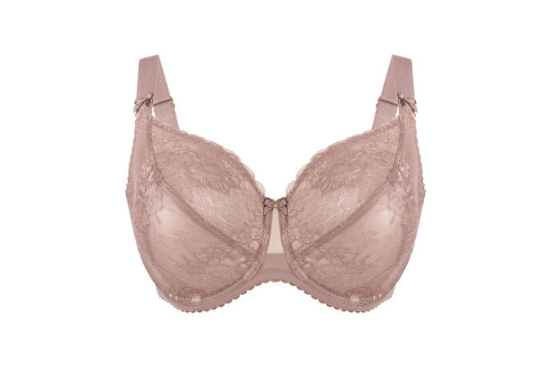 美丽的whity-brown胸罩。蕾丝胸罩，孤立在白色背景图片下载