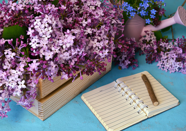 漂亮的紫丁香花在木盒和打开的日记本在桌子上。图片下载
