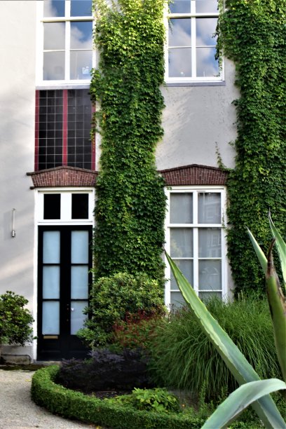 外部回家图片下载