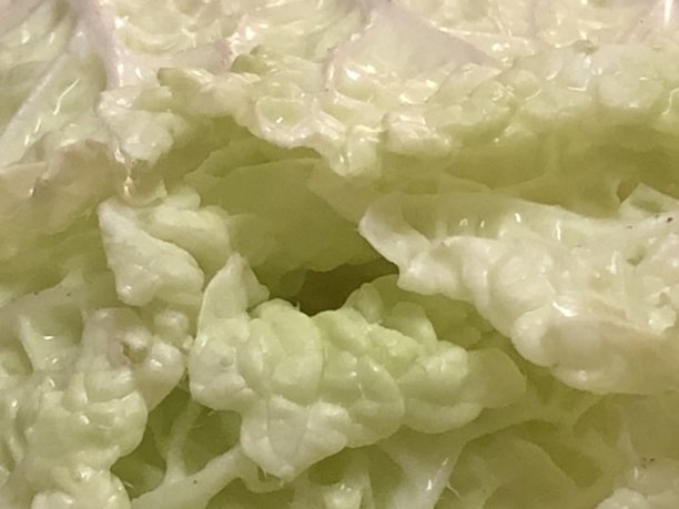 近距离看一下卷心菜图片下载
