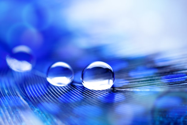 美丽透明的水滴或雨水在柔软的背景。放大照相。桌面背景。有选择性的重点。图片下载